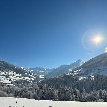 Apartmán Haus Schmetterling Alpbach Exteriér fotografie