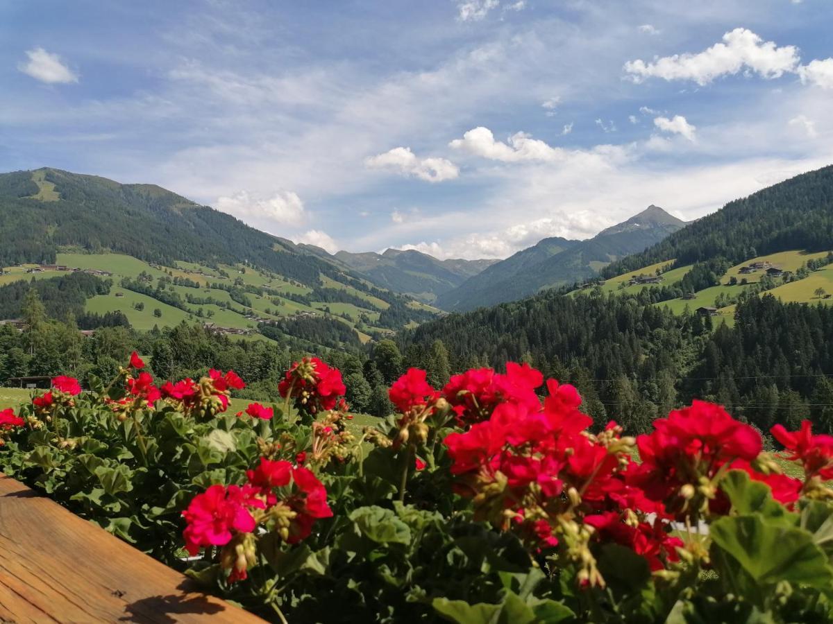 Apartmán Haus Schmetterling Alpbach Exteriér fotografie