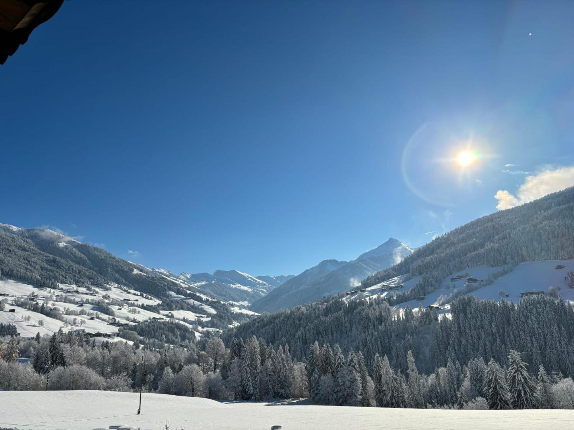 Apartmán Haus Schmetterling Alpbach Exteriér fotografie