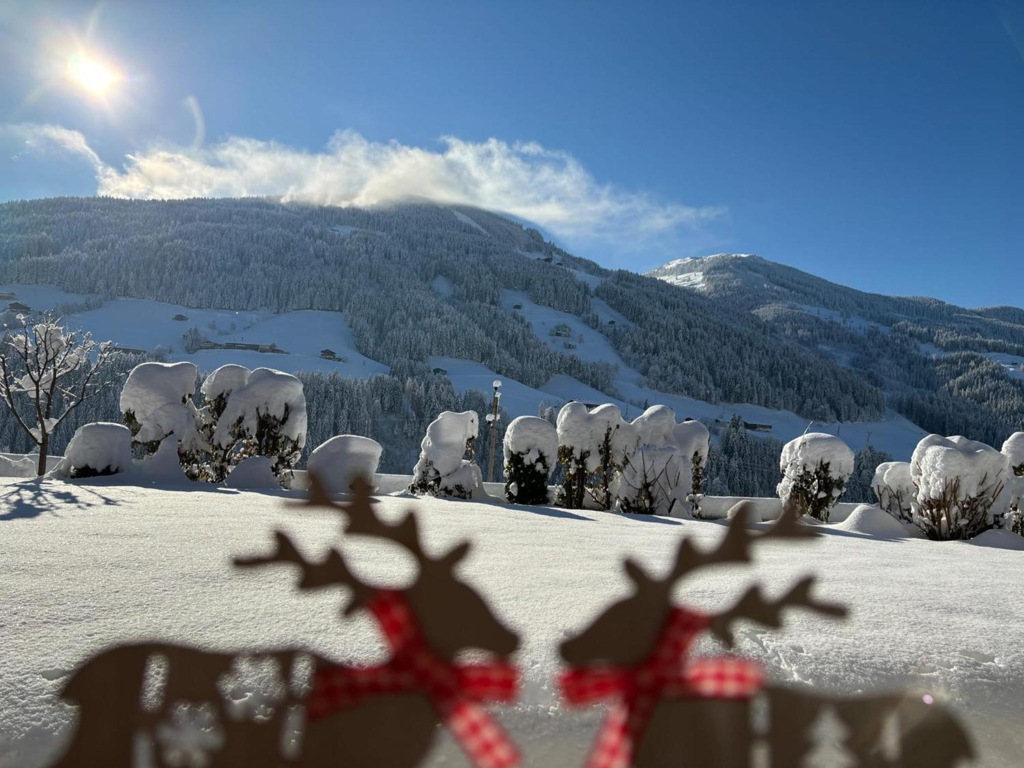 Apartmán Haus Schmetterling Alpbach Exteriér fotografie
