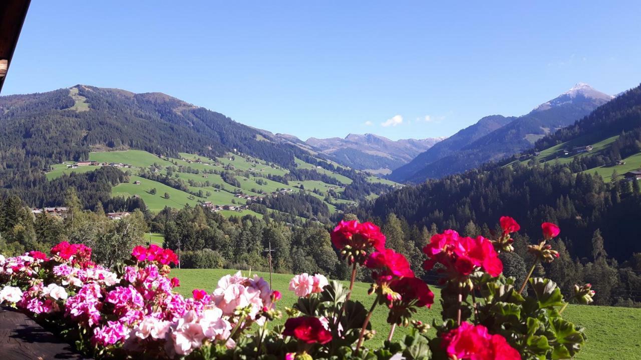 Apartmán Haus Schmetterling Alpbach Exteriér fotografie