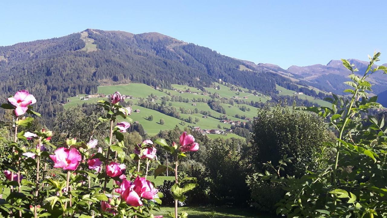 Apartmán Haus Schmetterling Alpbach Exteriér fotografie